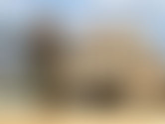 Marine Corps Ground Intelligence Officer Life