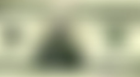 Mattis to be on $20 Bill?