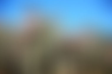 What is The Basic School (TBS) USMC?