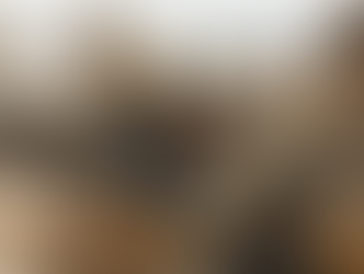 Marine Corps Infantry Officer Course: What to Expect