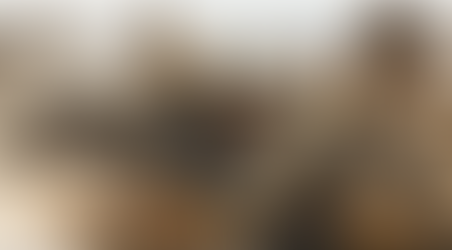 Marine Corps Infantry Officer Course: What to Expect